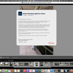 Screen Shot 2021-05-17 at 11.44.54 AM.png