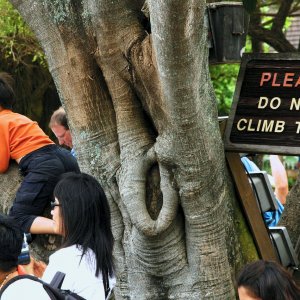 Hawaii087.jpeg