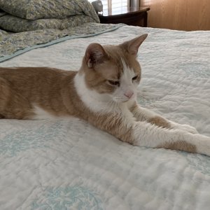 IMG_0766.jpeg