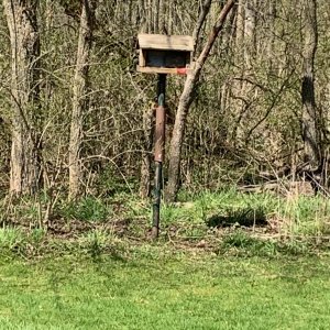 Battelle Darby Creek - Bird feeder.jpeg