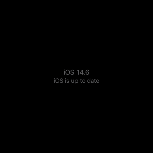 20210519_202831000_iOS.png