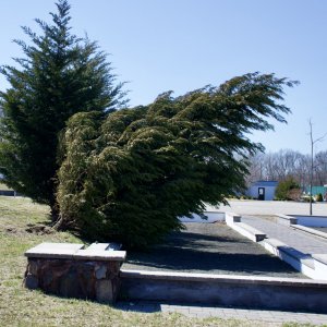 B4AF0193-A8B8-4B6A-8ACD-F8DAB6F6EAC2_1_201_a.jpeg
