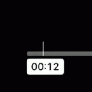 Circle on playbar.gif