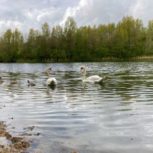 IMG_4393.JPG