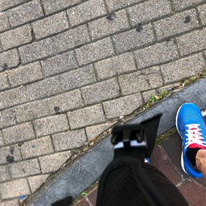 IMG_8266.jpeg