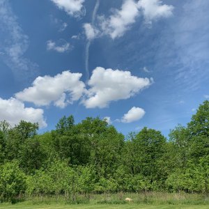 Battle Darby Creek - Clouds seen over trees in field 1.jpeg