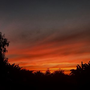 IMG_2112 (2).jpg