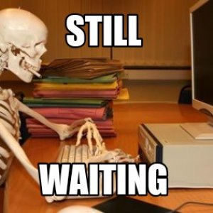 still waiting.jpg