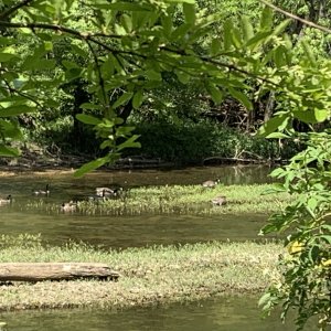 IMG_0816.jpeg