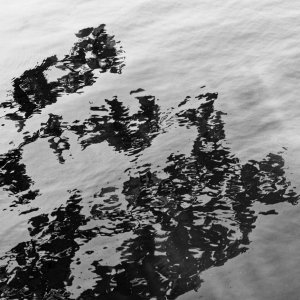 Reflection in B&W.jpeg