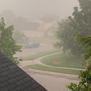 Neighborhood view from guest bedroom with fog May 2021.jpeg