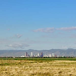 P0000879.jpg
