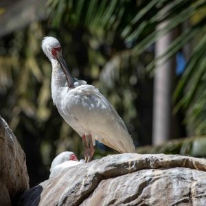 IMG_5205.jpg