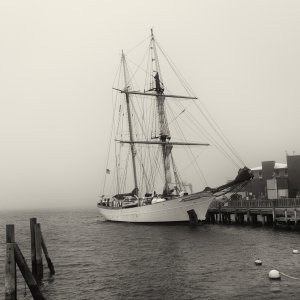 Corwith Cramer 2k.jpg