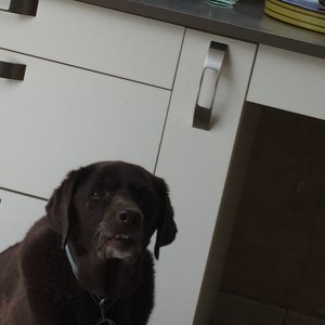 Lola 11ans 1.JPG