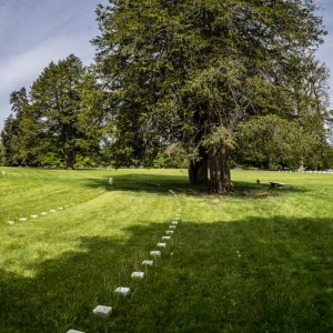 Panorama-1.JPG
