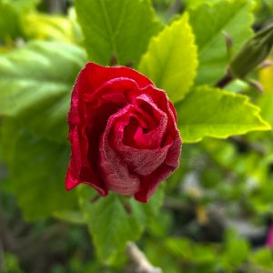 IMG_6432.jpg
