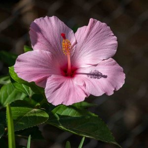 IMG_4850.jpg