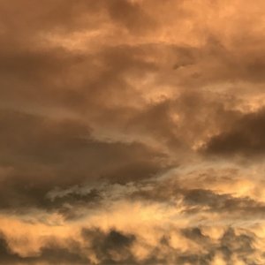 IMG_1350 3.JPG