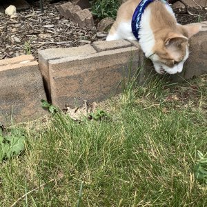 IMG_0008.jpeg