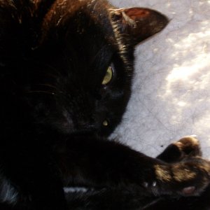 Sabrina on futon 2.jpg