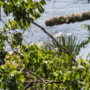 Rock Hill 2500px-45.JPG