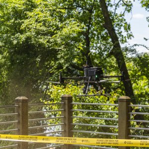 Rock Hill 2500px-51.JPG