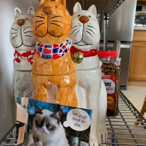 Grumpy Cat treat container.jpeg