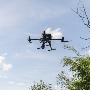 Rock Hill 2500px-55.JPG