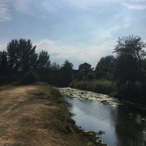 Photo 21-07-2018, 16 20 07.jpg