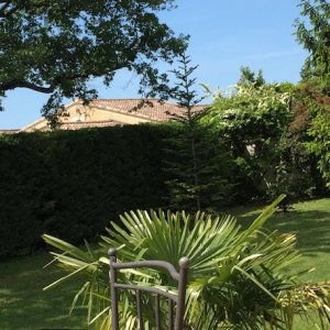 see from balcony.JPG