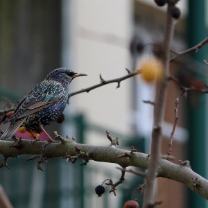 2015-12-20 14.17.54.jpeg