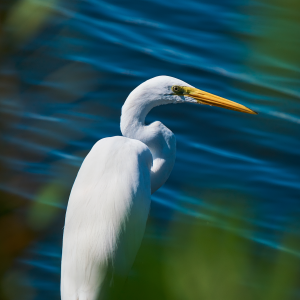 Screen Shot 2021-06-07 at 16.35.27.png