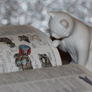 2016-04-06 22.02.22.jpeg