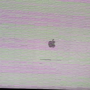 AC95B2FB-8398-41B3-86DA-6E10053DA6E7.jpeg