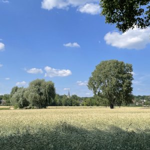 2021-07-03_16-15-52.jpg