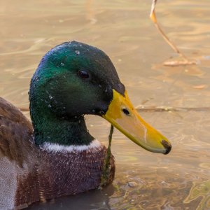 2016-11-01 14.46.28.jpeg