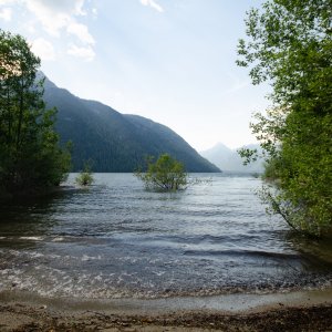 DSC_5432.jpg