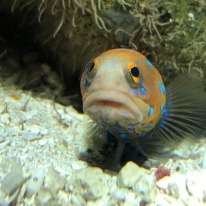 IMG_4295.jpg