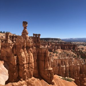 497F673B-50E7-440D-B426-06AF6D41B314.jpeg