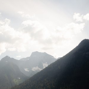 DSC_5445.jpg