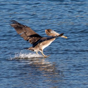 IMG_5903.jpg