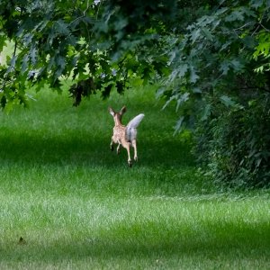 DSCF0369.JPG