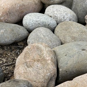 IMG_5575.jpeg