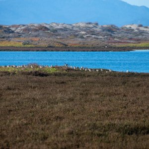 IMG_5718.jpg