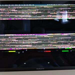 WhatsApp Image 2019-03-25 at 15.51.09.jpeg