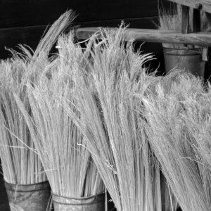 Hale Farms - 012 finished resize.jpg