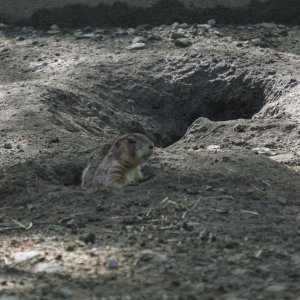 Arabella 2021 - 2500px-42.JPG