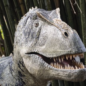 LeuGardens 2-2021 - 1500px-45.JPG