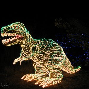 Light Dino.jpg